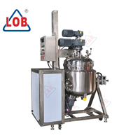 Mixing tank with lifting and homogenizing system